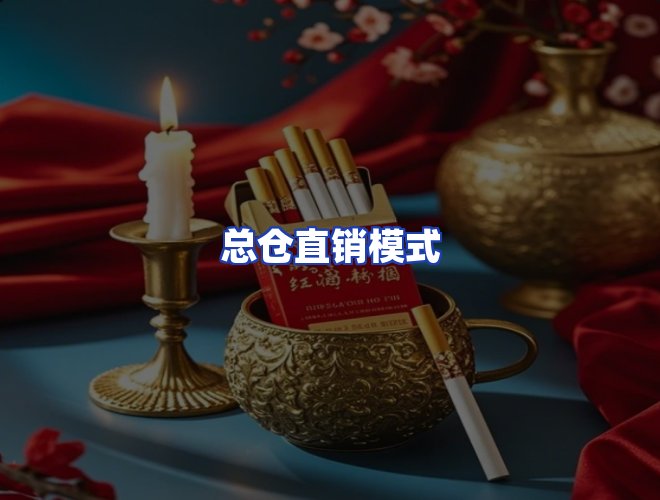 专业团队